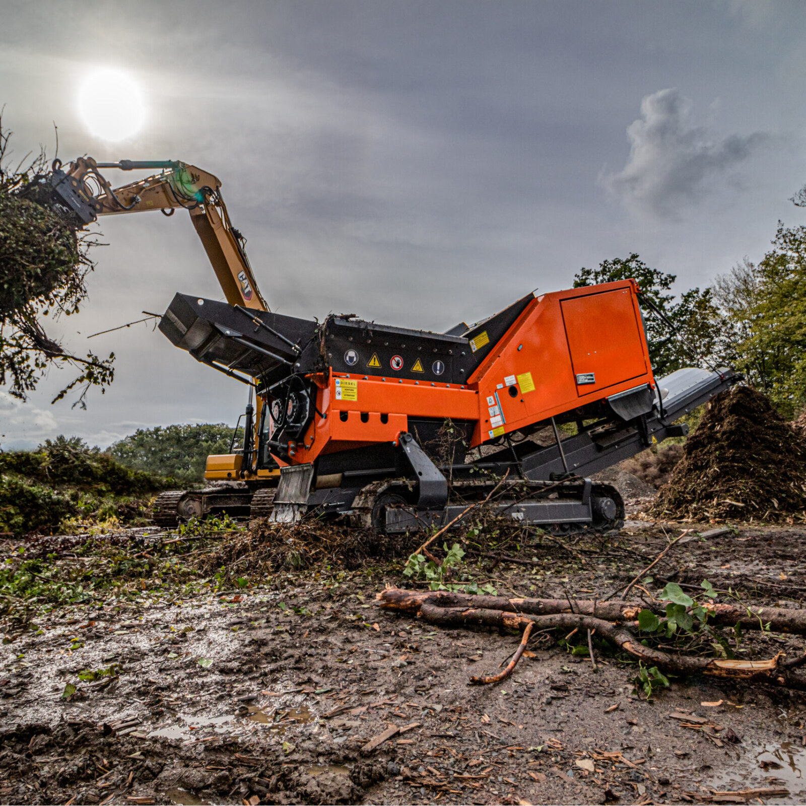 <?php echo pulse_output(); ?>