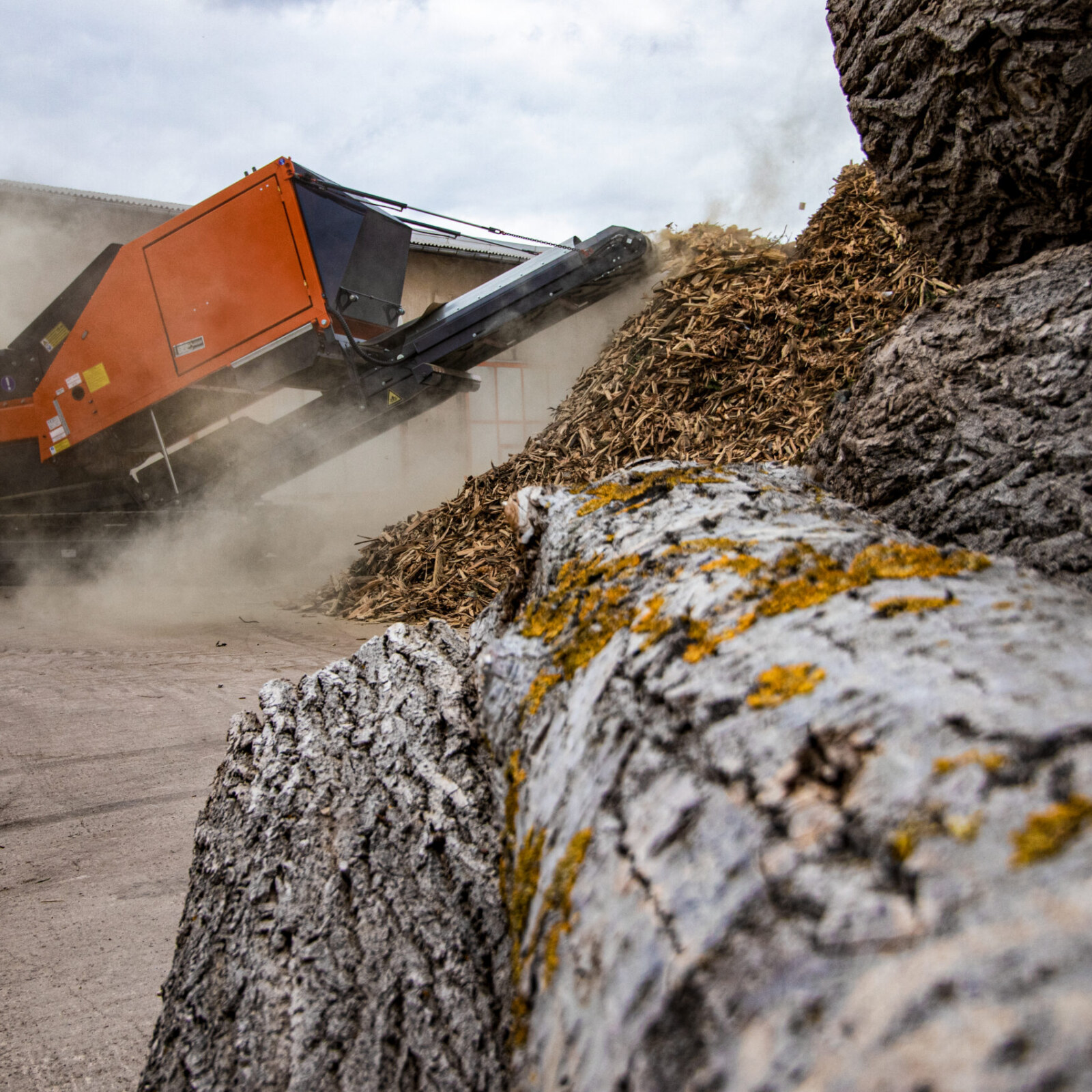 <?php echo pulse_output(); ?>