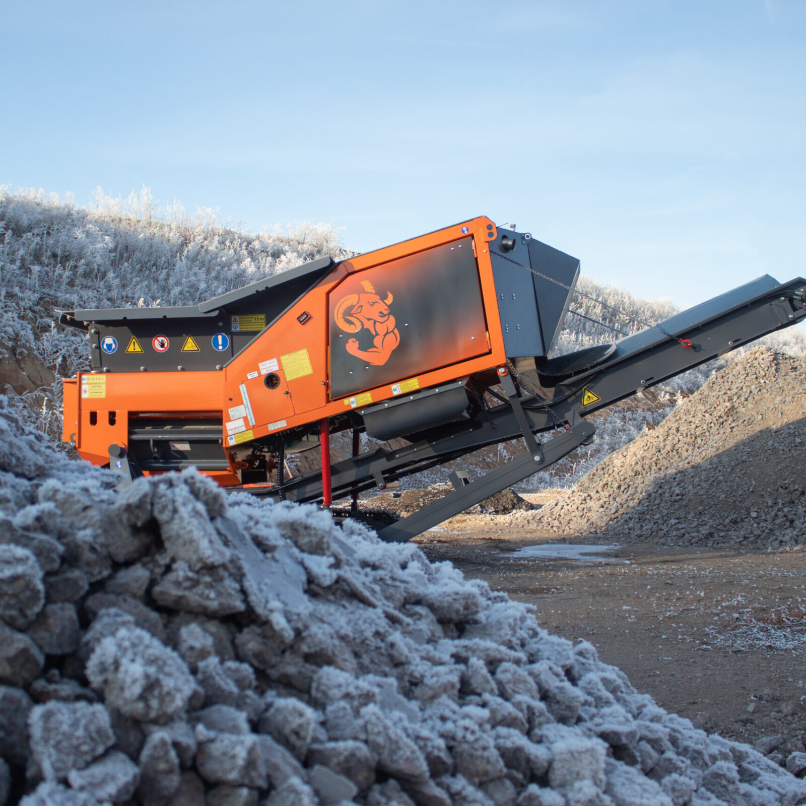 <?php echo pulse_output(); ?>